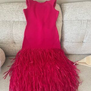 Vibrant Red Fringe Dress